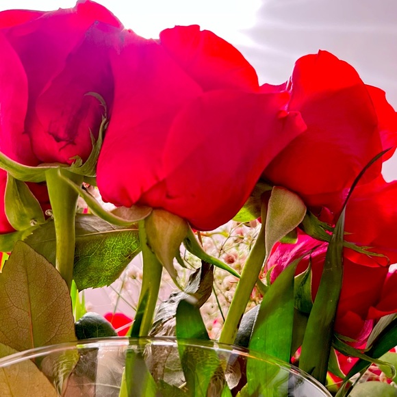Roses are red & You are Great 😘 - Picture 1 of 1